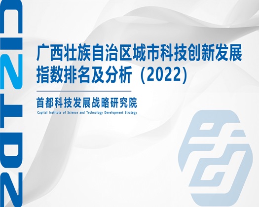 韩日男女操屄【成果发布】广西壮族自治区城市科技创新发展指数排名及分析（2022）